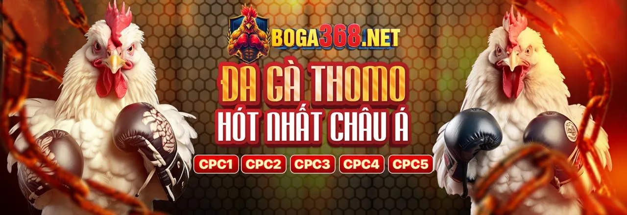 Hình ảnh Chính sách Cookie FT88, bảo vệ dữ liệu người dùng tại nền tảng giải trí trực tuyến